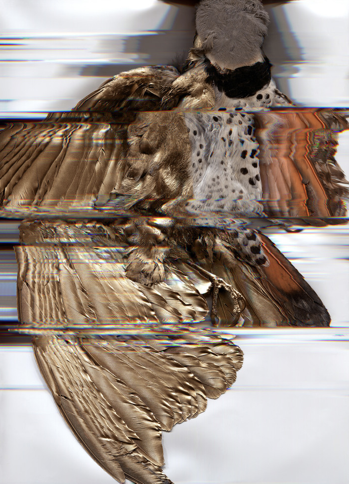 LindaGirvin_art3.png